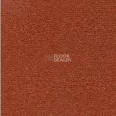 Ковролин Radici Nexus Cotto 2413 фото 1 | FLOORDEALER